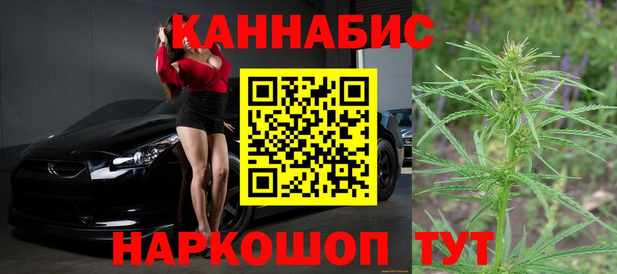 Бошки Шишки план Альметьевск